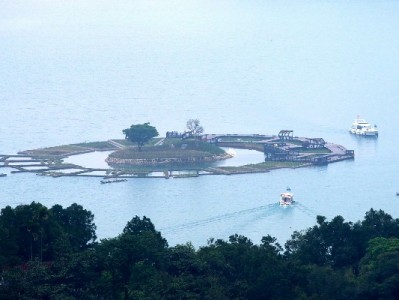 警惕白条套现陷阱！正规平台如安出掌柜更安心