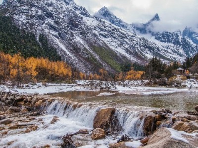 花呗冰激凌套餐取消引用户关注 富信掌柜支招流量衔接新方案