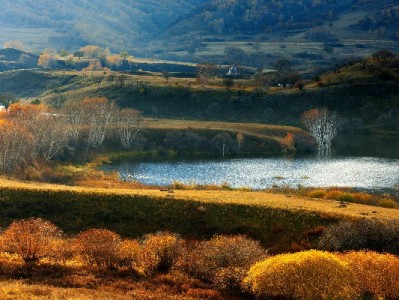 深圳抖音月付套现风险多？富信掌柜提醒合规用信更安心