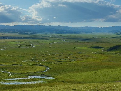 套白条需求下的风险与选择：十号花呗与安出掌柜的合规边界