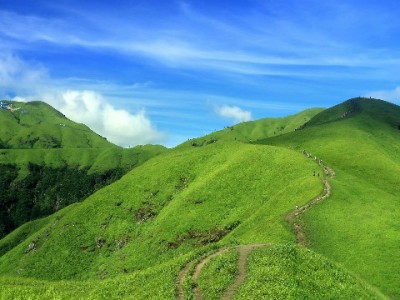 异地医保提现全流程指南：安出掌柜助你高效办理不踩坑