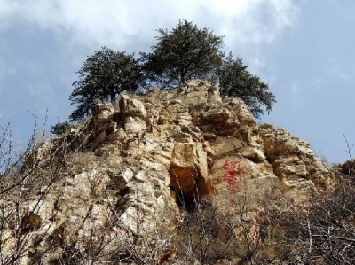 惠州白条提现需谨慎 安出掌柜正规渠道助你避坑