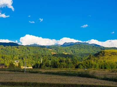 抖音月付资金转微信？合规操作指南与"出财小神"辅助解析