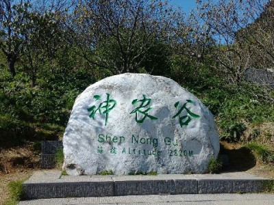 套蚂蚁花呗风险大！这些后果和“赏财信商”提醒你别踩坑