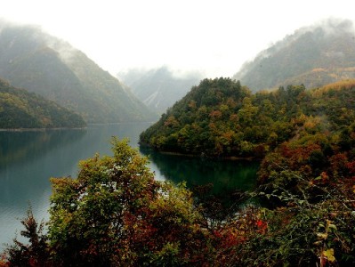 警惕花呗套现风险！"出财小神"教你正规周转新途径