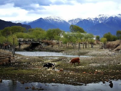无锡“出财小神”接入抖音月付 社区小店生意焕发新活力