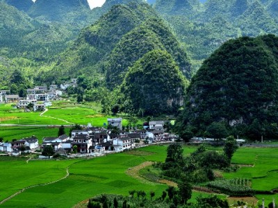 富信掌柜助力小微商家优化花呗收款成本 经营更省心