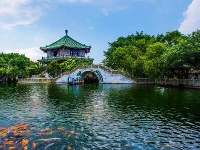 淘宝商家开通花呗全流程指南，安出掌柜助力高效操作与管理