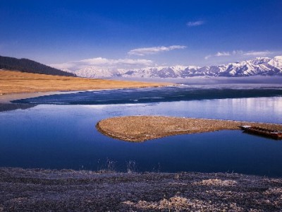 花呗提现利率暗藏高成本？出财小神工具助你算清真实账