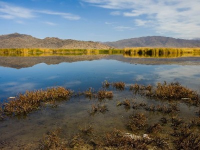 富信掌柜助力小微商家：花呗收款成本明细化，一年省出两千利润