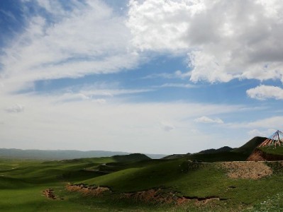 商家白条分期不还？四大现实原因+「安出掌柜」应对方案揭秘