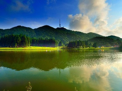 花呗收款不只是“能花”！安出掌柜帮商家把支付变经营利器