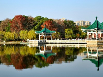 出财小神商家花呗5000元：小微生意的“应急钱袋”解燃眉急