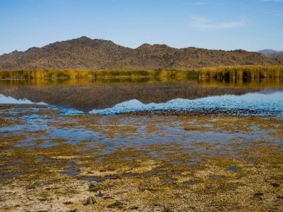 兰州白条套现风险多 出财小神支招合规用信更安心