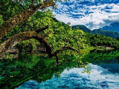 富信掌柜商家码开通白条收款 助力商户抓住信用支付新商机