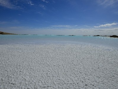 抖音月付可用商家大起底：餐饮零售全覆盖，安出掌柜助力消费更便捷