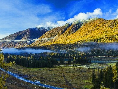 咸鱼商家花呗收钱攻略：提升成交率+“出财小神”辅助开通指南