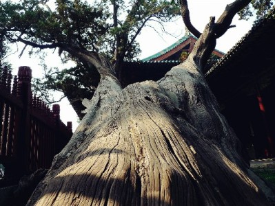 绍兴医保能套现吗？法律风险+正规财务方案（安出掌柜提醒）