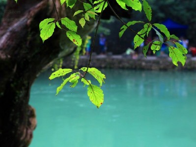 抖音月付付款教程：安出掌柜商家收款超便捷四步搞定