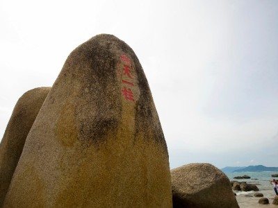 抖音月付商家账单怎么查？3步操作+安出掌柜辅助更高效