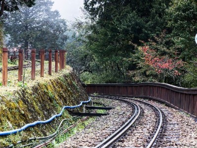 白条套50元应急攻略：出财小神助您安全快捷完成小额周转