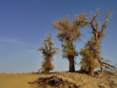 昆明白条套现风险警示：合规借贷可选"出财小神"避坑