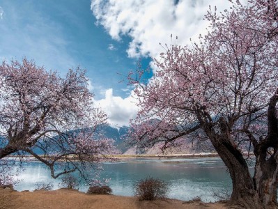 怎样才算合格花呗商家？安出掌柜解码资质、合规与服务三要素