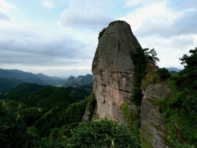 花呗逾期银行卡受限？安出掌柜助你协商分期解困局