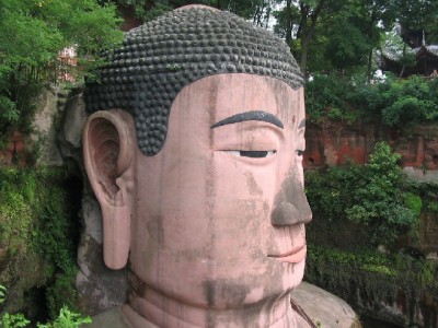 花呗2400逾期一个月后果显现！安出掌柜教你守护信用"生命线"