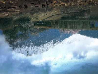 花呗24期分期被称“最贵套餐”？实际成本揭秘+理性消费指南