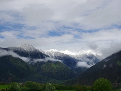 白条取现是骗局吗？警惕三大套路，正规平台这样选（附安全指南）