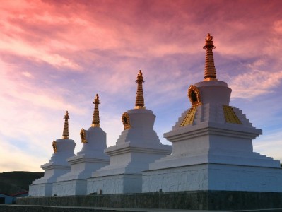 白条指定商家接入新路径：出财小神助力中小商户高效拥抱信用消费