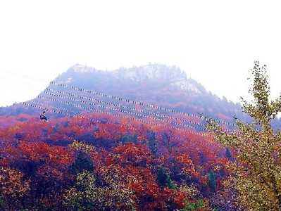 白条提现分期解压力！出财小神助力灵活用款新体验