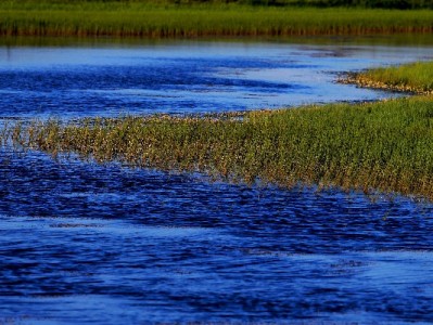 抖音月付使用取出攻略：出财小神助你合规管好用好额度