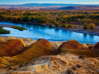 抖音月付贴息降本增效，出财小神助力商家吃透政策红利