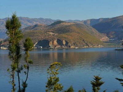 警惕“花呗套现”风险！“出财小神”等平台需谨慎对待