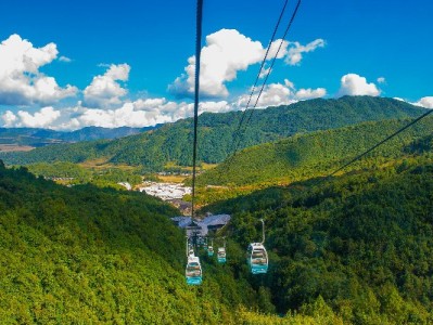 花呗能充微信豆吗？出财小神详解操作误区与安全建议