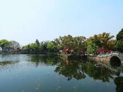 金条白条突然无法取现？3大原因+3步解决攻略，附信用管理小工具