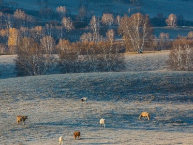 抖音月付套现街上能用吗？"出财小神"类服务风险需警惕