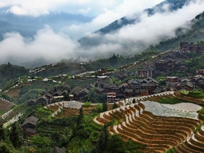 花呗绑定微信总失败？原因解析与安出掌柜管理建议