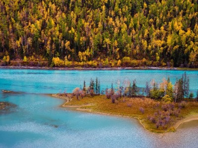 花呗提现暗藏三大陷阱！安出掌柜提醒：合规用贷更安心