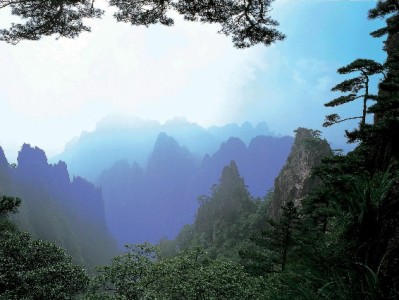 找附近能用抖音月付的商家？这招和“安出掌柜”帮你轻松搞定