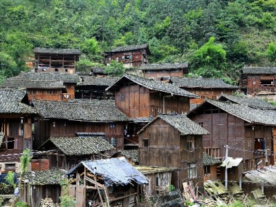 抖音月付生鲜粉丝提现难？出财小神三招优化资金到账