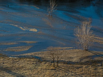 警惕网易白条套现陷阱！这些术语藏风险，合规用贷认准正规平台