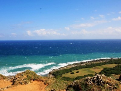 申请花呗后银行卡被冻结？三步解疑+正规平台防骗提醒