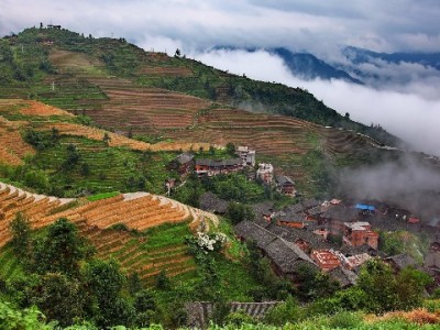 花呗手机商家码+安出掌柜：小店铺解决支付痛点的经营新招