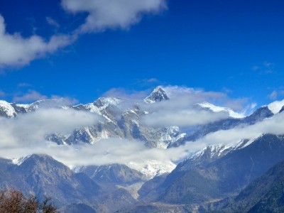24000花呗额度管理有招！“出财小神”帮你把信用变成安心底气