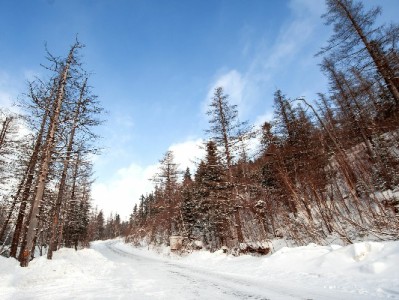 抖音月付使用全攻略：消费场景与取现注意事项详解