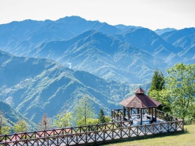 小微商家必看！用“出财小神”快速找到花呗收钱码全流程指南