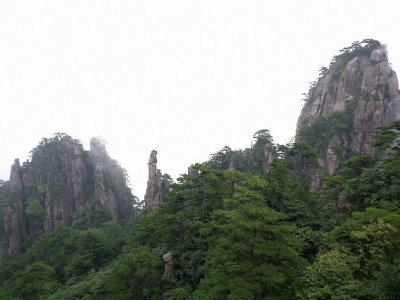 花呗商家码开通全流程指南，出财小神助力商家高效收款